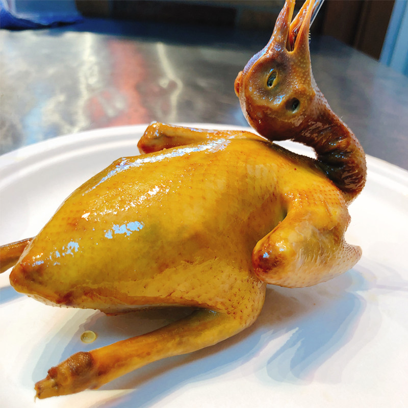 寻味顺德盐焗乳鸽熟食真空真空包包装广式港式卤肉类