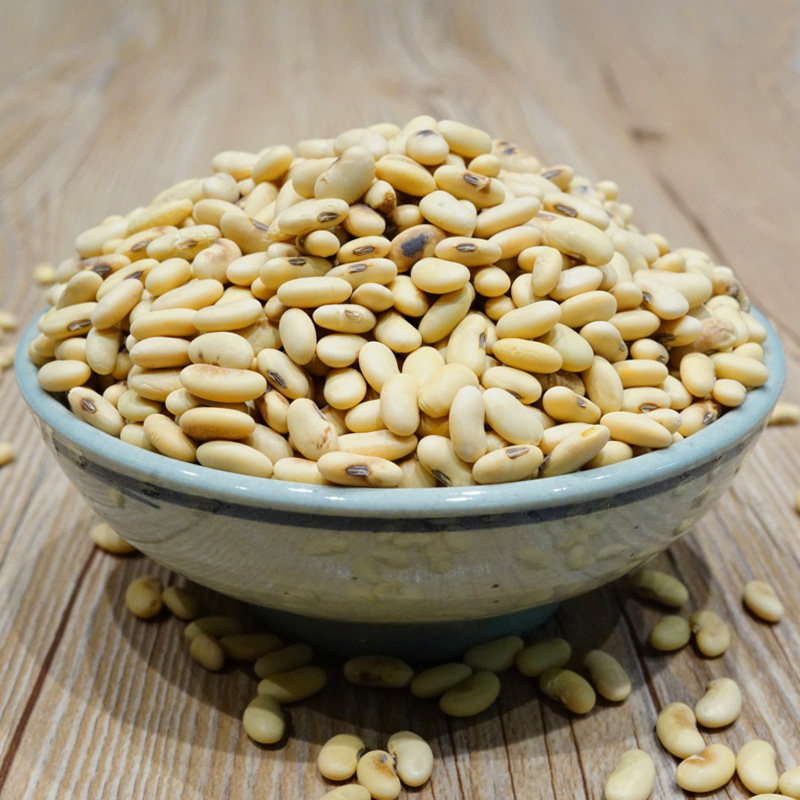 黄豆王小帮老品种土黄农家自种转基因大豆小黄黄豆