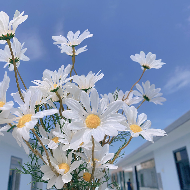 尤物少女ins小雏菊仿真客厅餐桌装饰假花拍照仿真花
