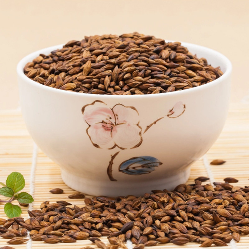 麦茶日本原装进口伊藤园大麦浓香烘焙型冷热兼用茶包代用