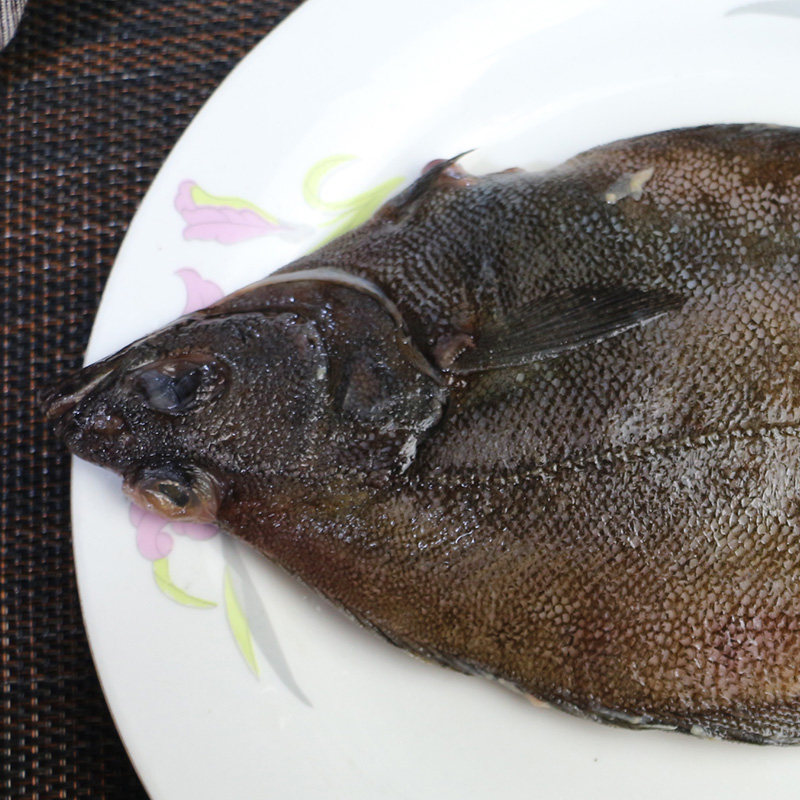 大连特产大偏口比目鱼鸦片野生深海海鱼捕捞比目鱼