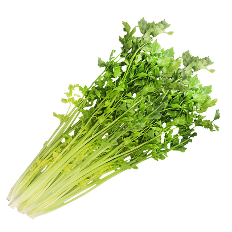 马家沟芹菜蔬菜新鲜包邮助农家菜当季叶菜类吃货青菜5斤山东