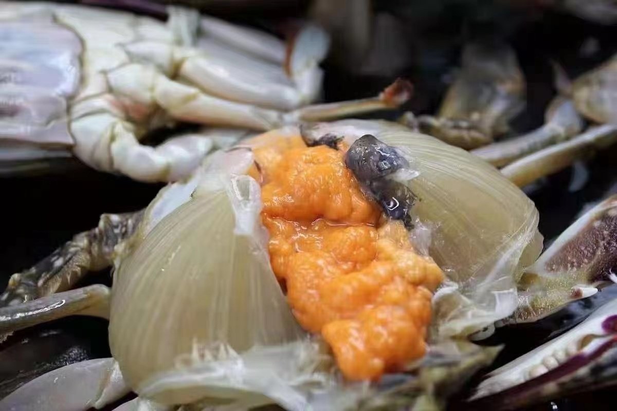 一只北京闪送鲜活满黄母梭子膏蟹满肉螃蟹海鲜梭子蟹