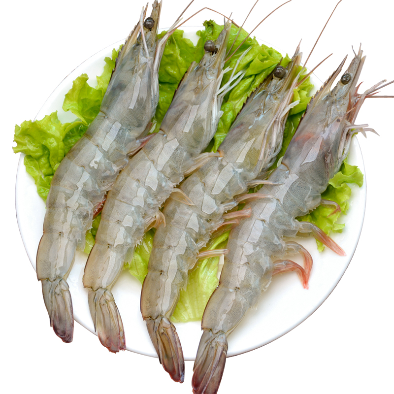 海鲜青岛大虾鲜冻冷冻水产基围新鲜青虾海捕大冻虾