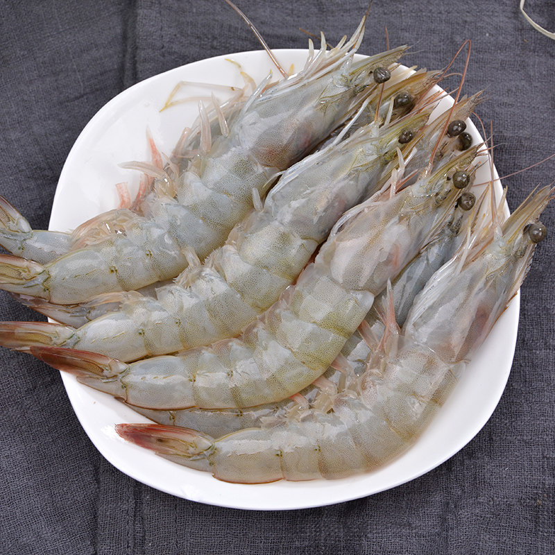 青岛大虾鲜活基围虾超大活虾冻虾对虾海虾海鲜水产鲜虾青虾