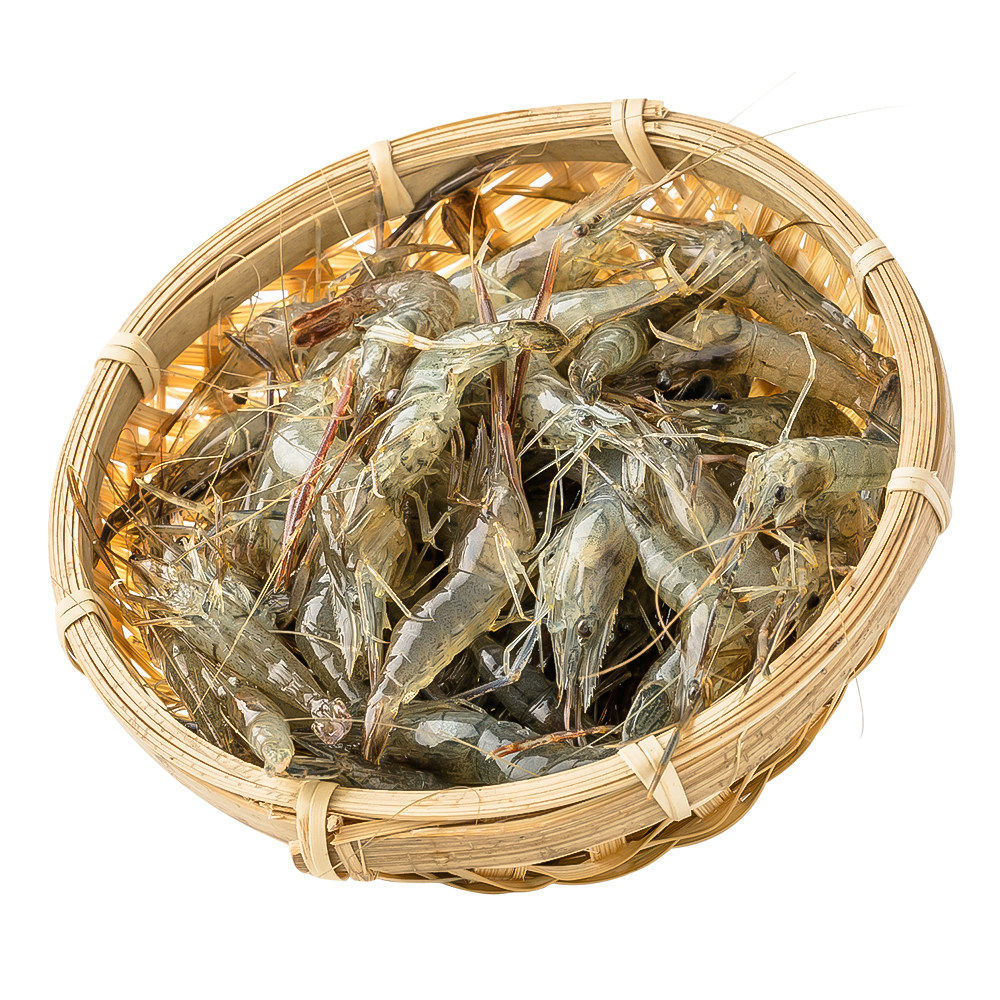 微山湖小河新鲜鲜活淡水青虾草虾醉虾河虾现捕现发冻虾