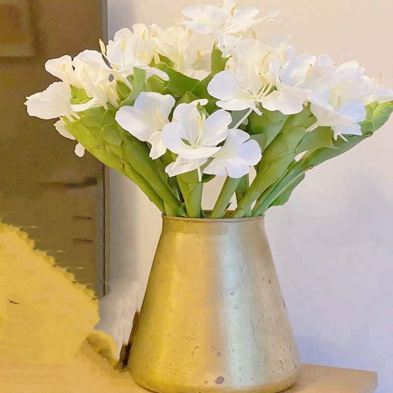 顺丰包邮10支鲜切姜花3060个头鲜花速递同城广东时令草本花卉