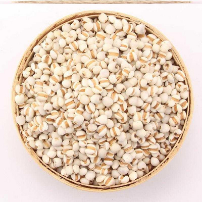 意米 5斤 农家薏米5斤米仁 薏米 新货糯薏米洋薏米薏仁米5斤包邮