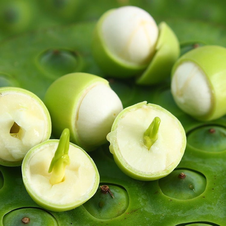 助农鲜嫩莲蓬新鲜3斤4斤熬粥莲藕莲子生吃其它