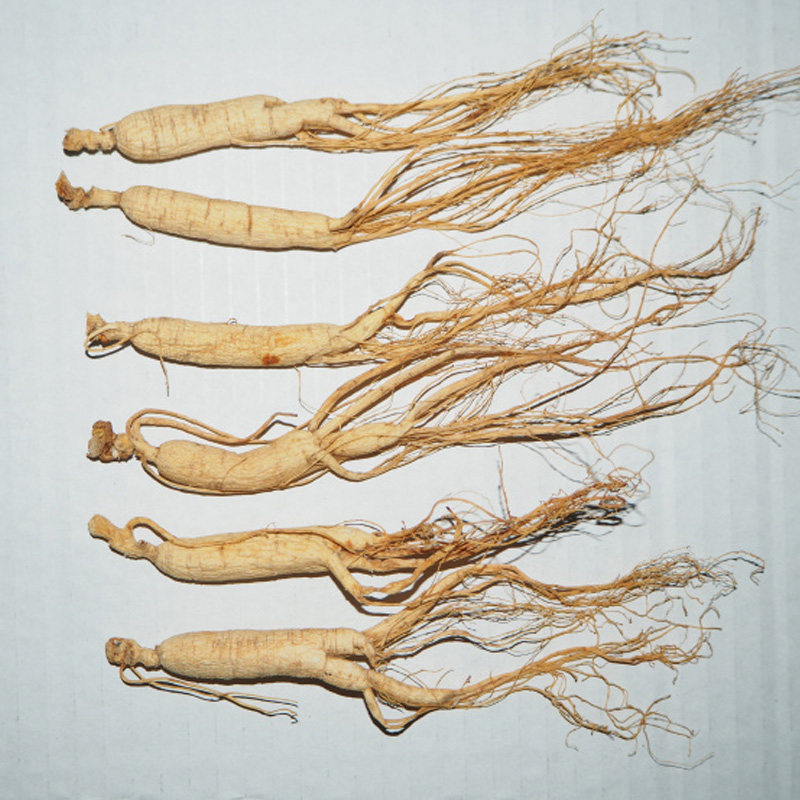 西藏林芝特产野山参须花参新鲜人参可泡酒山参移山参礼品中参20克