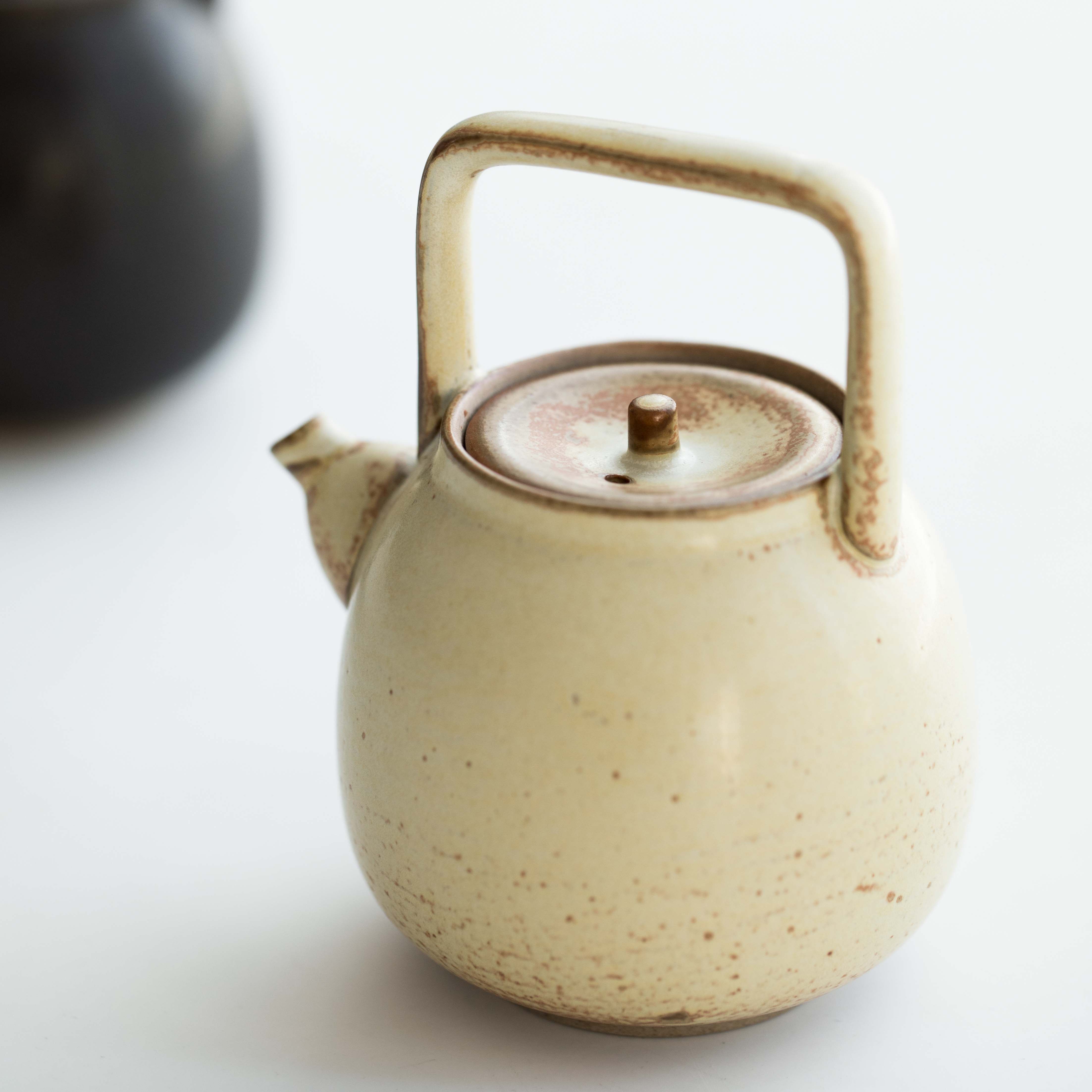 茶壶草木祠日式急须壶陶瓷带过过滤孔小提梁壶粗茶壶