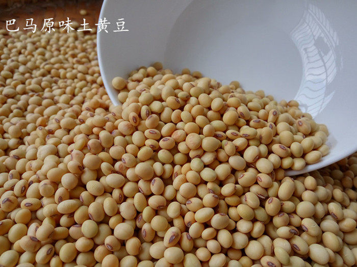 黄豆广西巴马特产农家自种土黄豆浆豆小500g黄豆