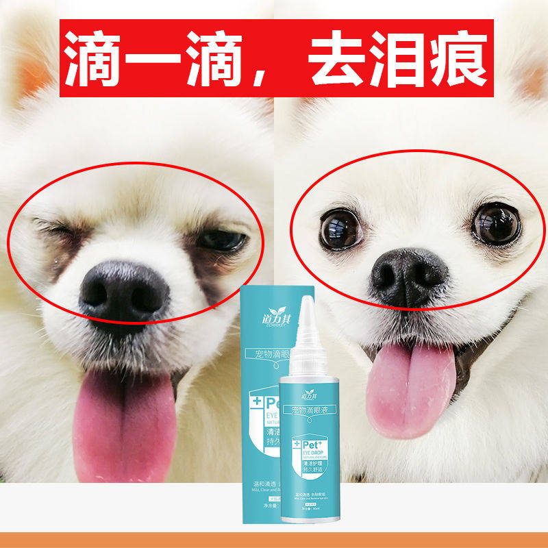 狗狗眼屎红肿消炎眼水宠物滴眼泰迪眼药水猫咪眼部清洁