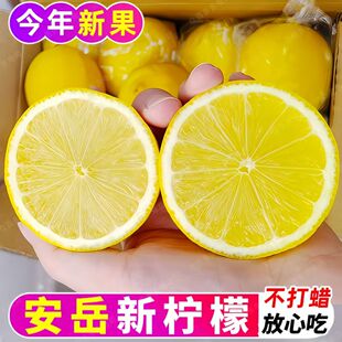 四川安岳黄柠檬新鲜采摘皮薄多汁新鲜水果切片泡水多规格发货