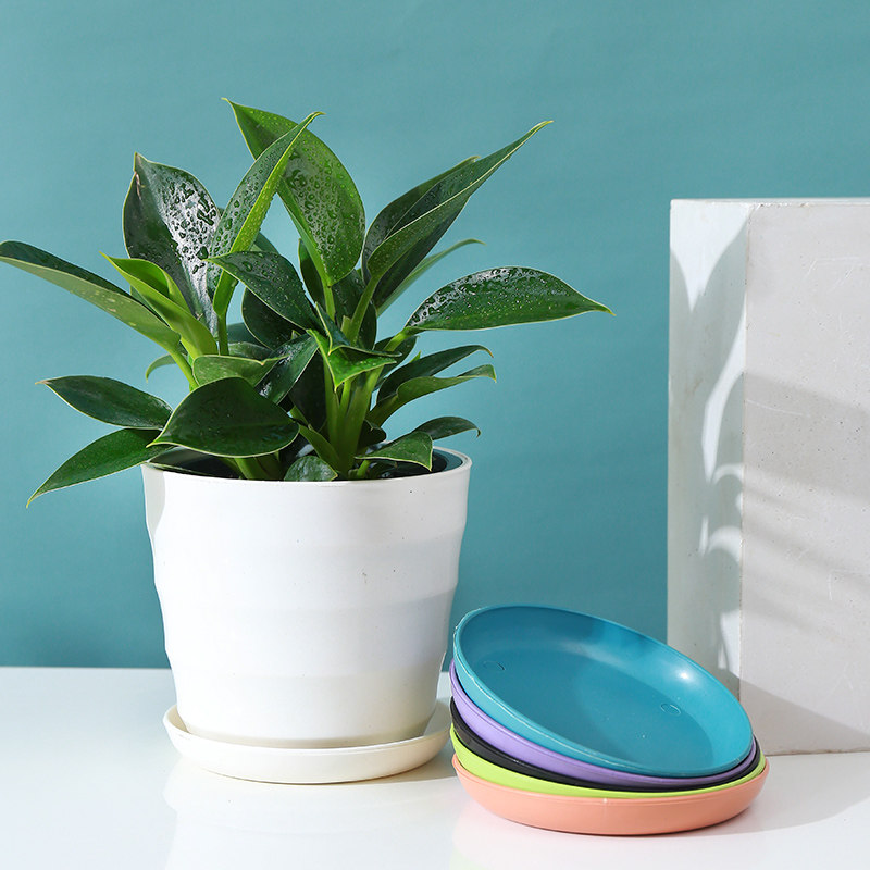 花盆塑料花盘加厚底座垫接水盘托盘