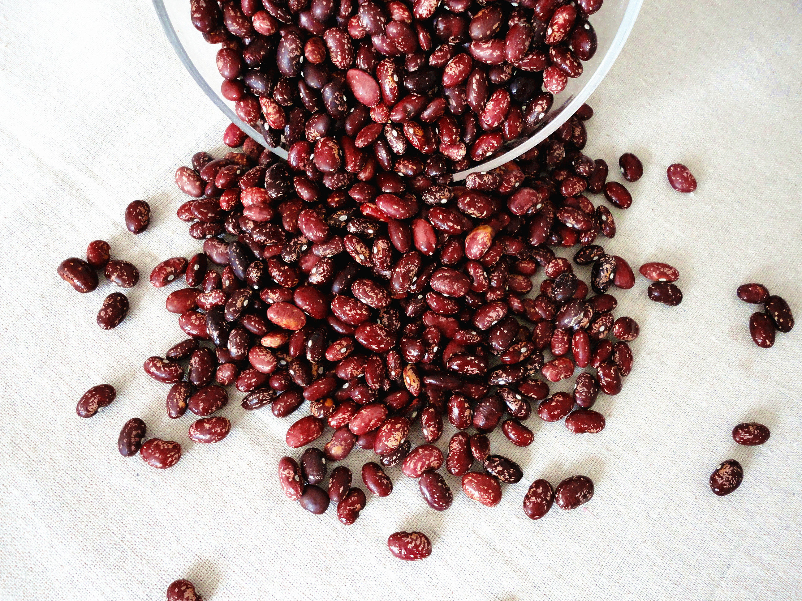 农家自产金丝红花孔雀豆雀蛋豆芸豆红饭3斤其它
