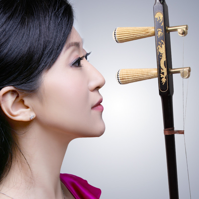 二胡特价民族乐器正品刻花铜轴初学入门六角二胡送松香配件弦包邮