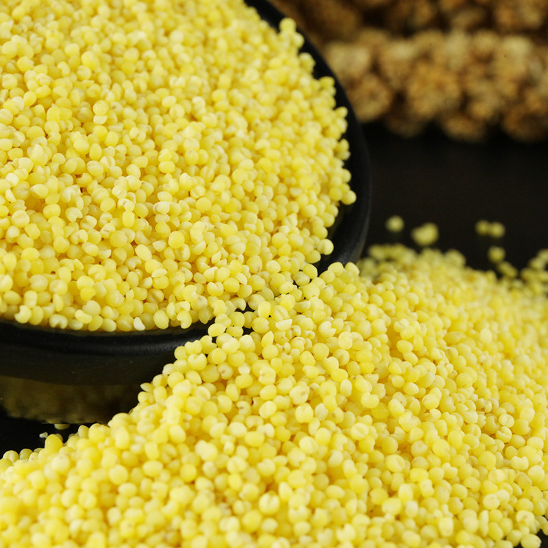 江洲东北黄小米2.5kg小米粥农家自产小黄米5斤东北特产五谷杂粮