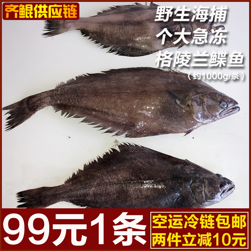 格陵兰比目鱼新鲜鲽鱼整条冷冻深海海鱼海鲜水产鲽鱼