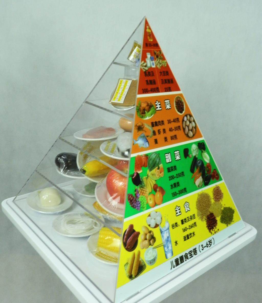 膳食宝塔模型36岁儿童学龄前中国居民仿真水果
