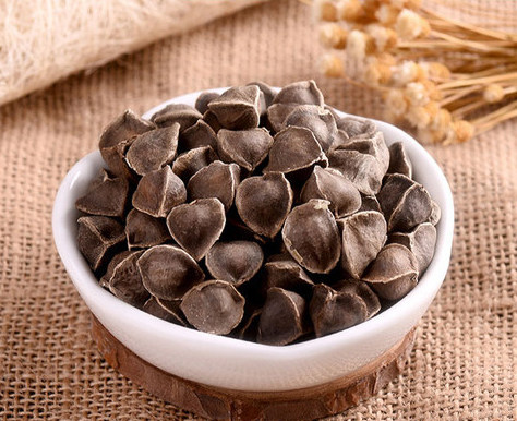 辣木中药材木子印度进口正品保证500克包邮新货其他药食同源食品