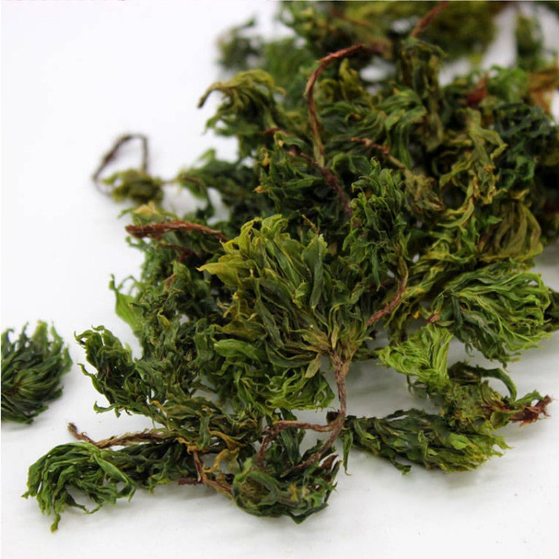回心草正品云南中药材天然野生回心草150g大叶藓茴薪草茴心草晒干