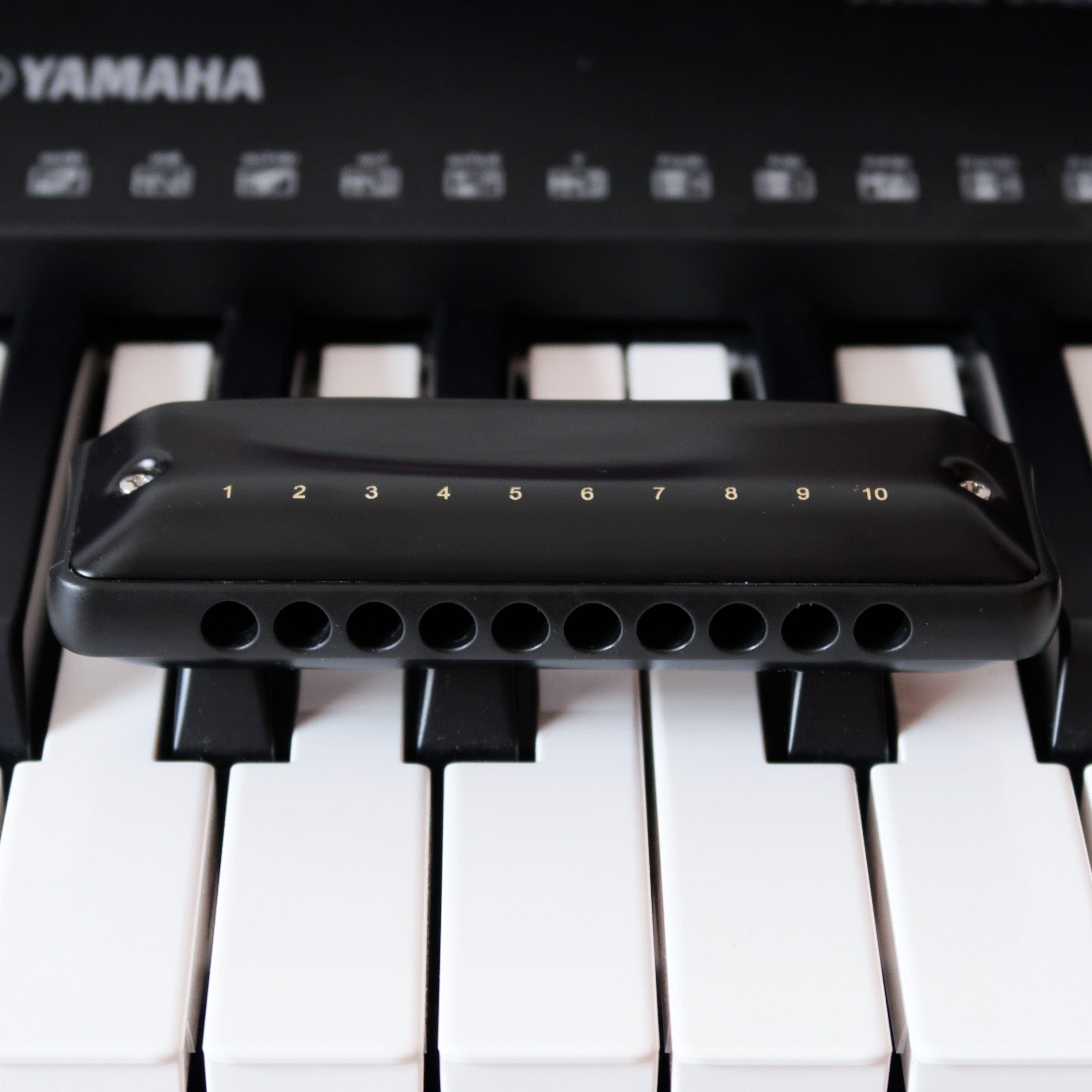 jdr口琴压音演奏进阶初学ninja蓝调嘉德瑞布鲁斯口琴