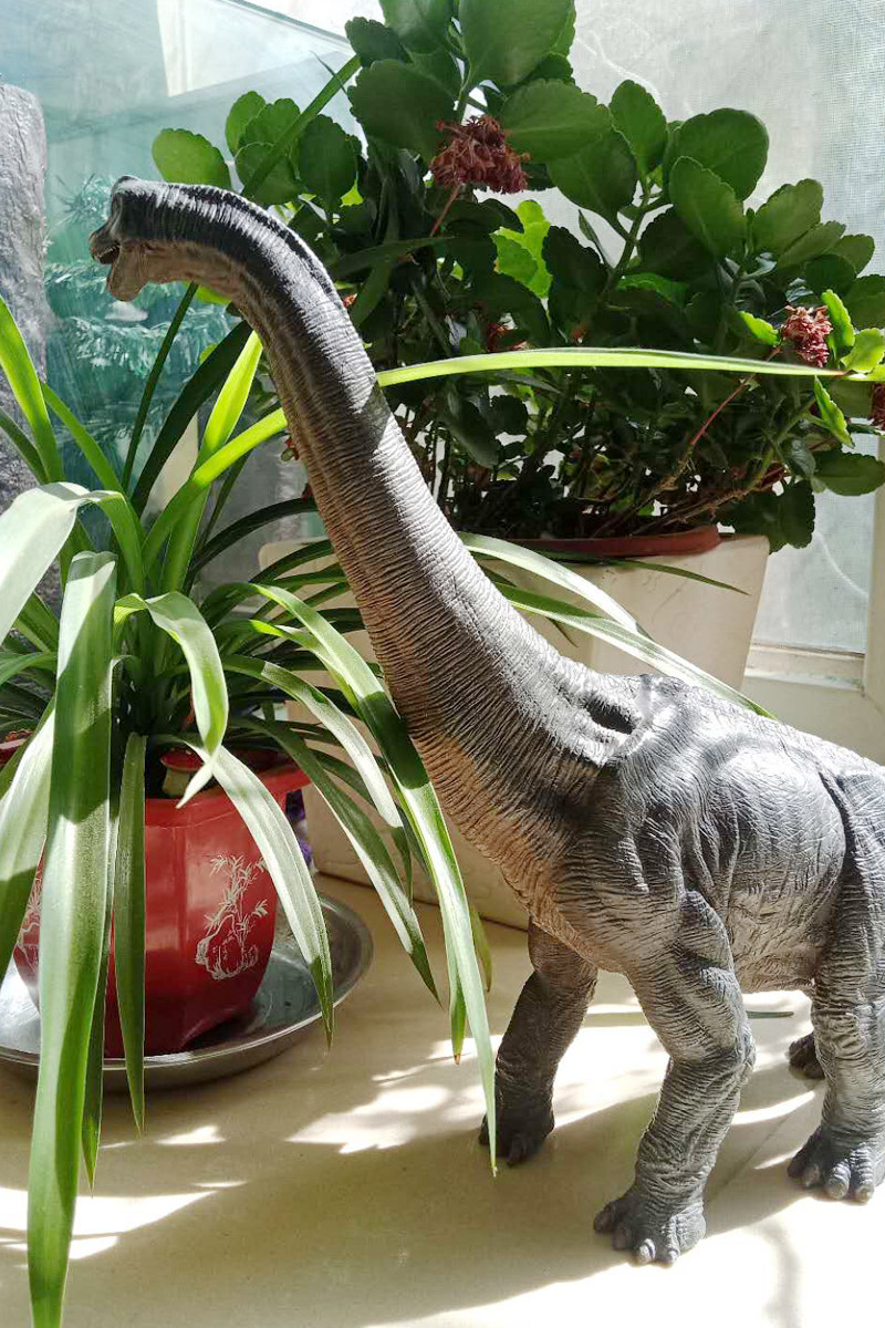 恐龙模型玩具摆件法国papo正品腕龙静态动物仿真