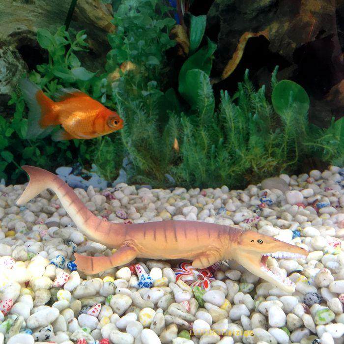 safari正品品海爬类地蜥鳄远古深海爬行动物静态恐龙仿真