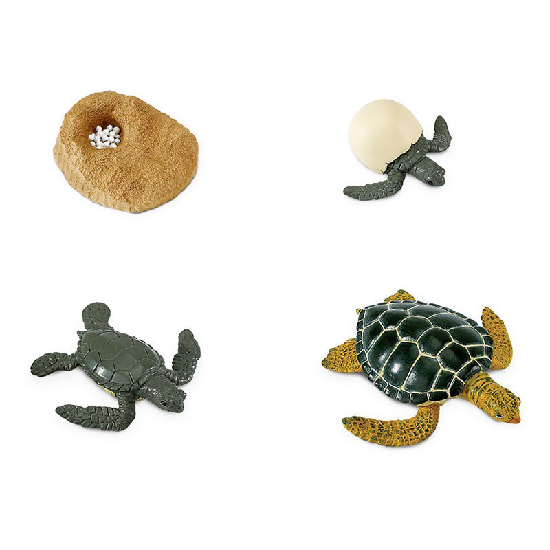 儿童玩具公仔safari正品海洋生物海龟静态动物模型玩偶仿真
