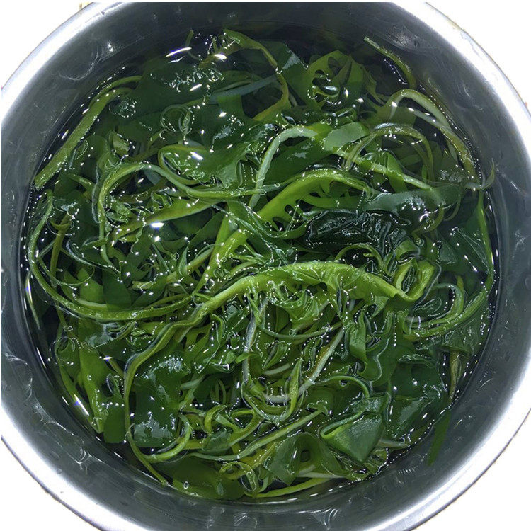 特级海芽菜裙带菜嫩芽睫毛菜眉芽菜火锅海带芽盐渍海带苗300g*3袋