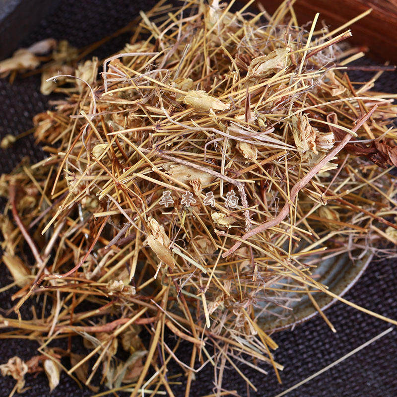 青叶胆1克云南青叶胆七疸药青叶丹青鱼胆走胆药可磨粉中药材