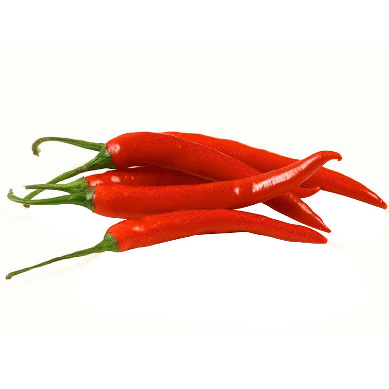 红丰美人椒种子辣椒杭椒线椒特辣 早熟高产抗病春夏秋四季播 蔬菜