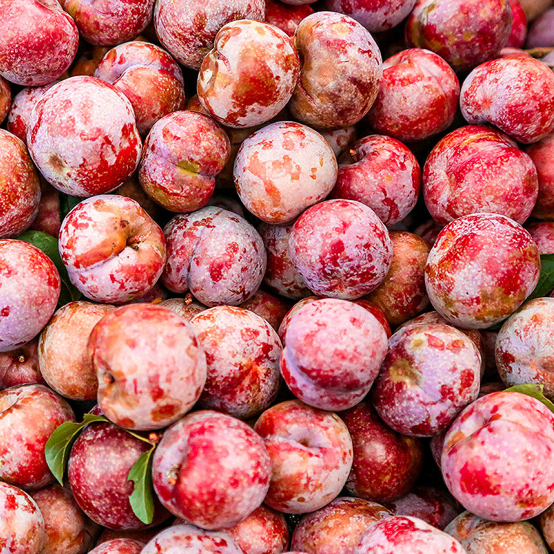 三华李西梅新鲜5斤水果当季整箱箱包孕妇黑布李子