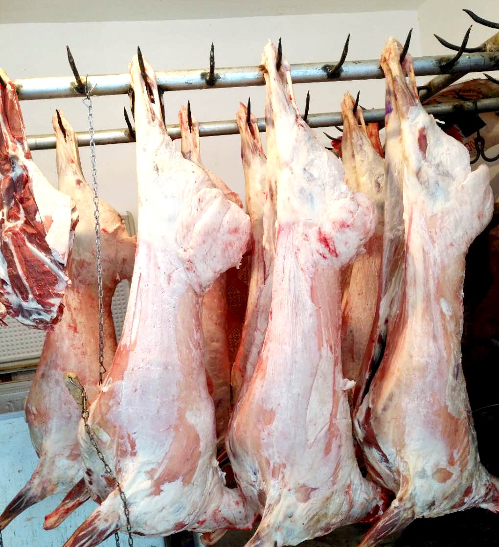 羊肉新疆原生态新鲜30斤阿勒泰哈萨克顺丰羊腿羊排生羊肉