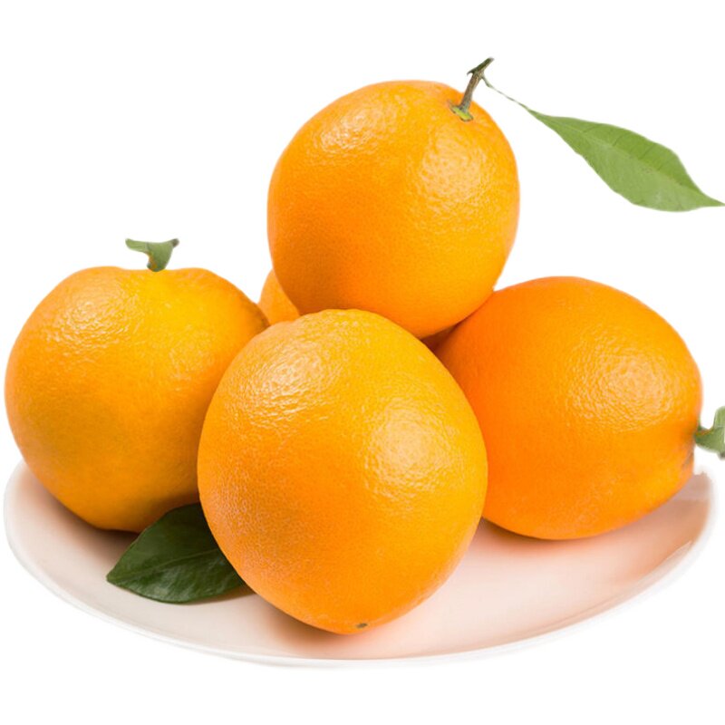 宜昌秭归甜纽荷尔橙子产地地直新鲜当季水果橙