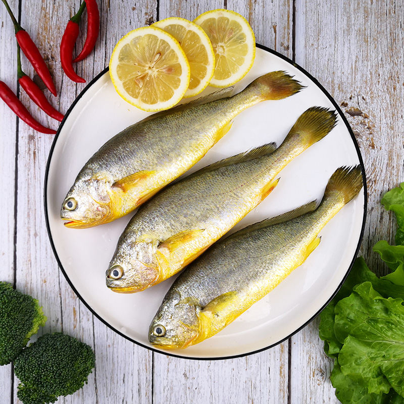 新鲜小黄黄鱼冷冻黄花鱼东海海鲜水产饭店商用黄鱼