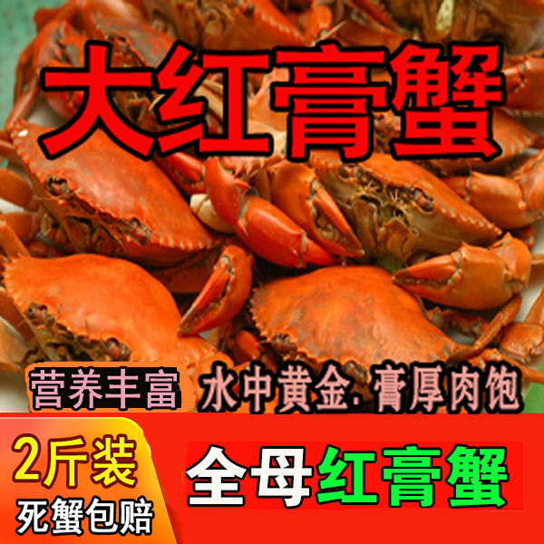 海蟹纯母红膏鲜活蟹蝤蛑红活蟹母蟹2斤装青蟹