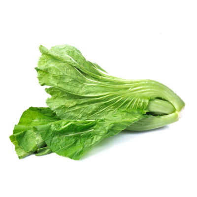 农家传统瘤瘤种籽芥菜弥陀脆嫩鲜食腌制秋播菜籽家庭园艺种子