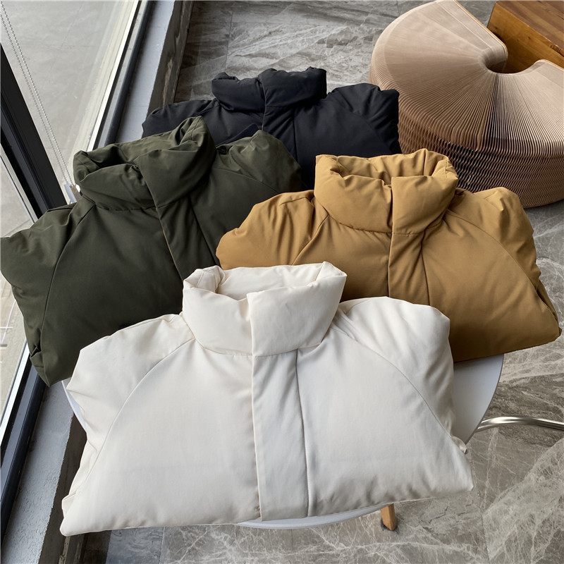 紫标系列岛国东丽面料热反射内衬秋冬防水保暖立领羽绒服男