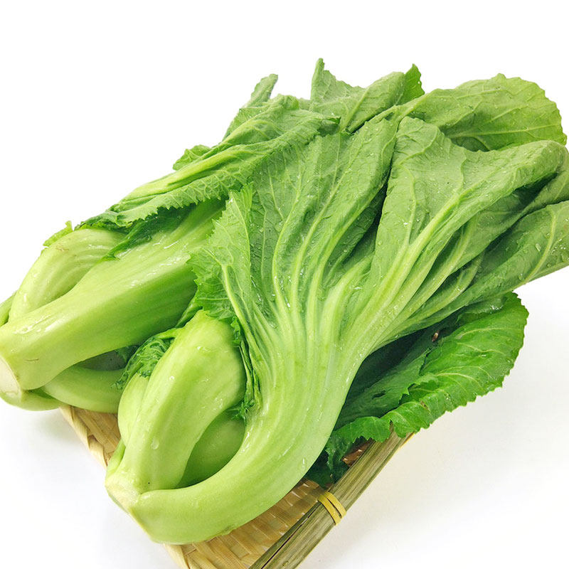 芥菜包心种籽介菜菜种大叶水东广东酸菜四季家庭园艺种子