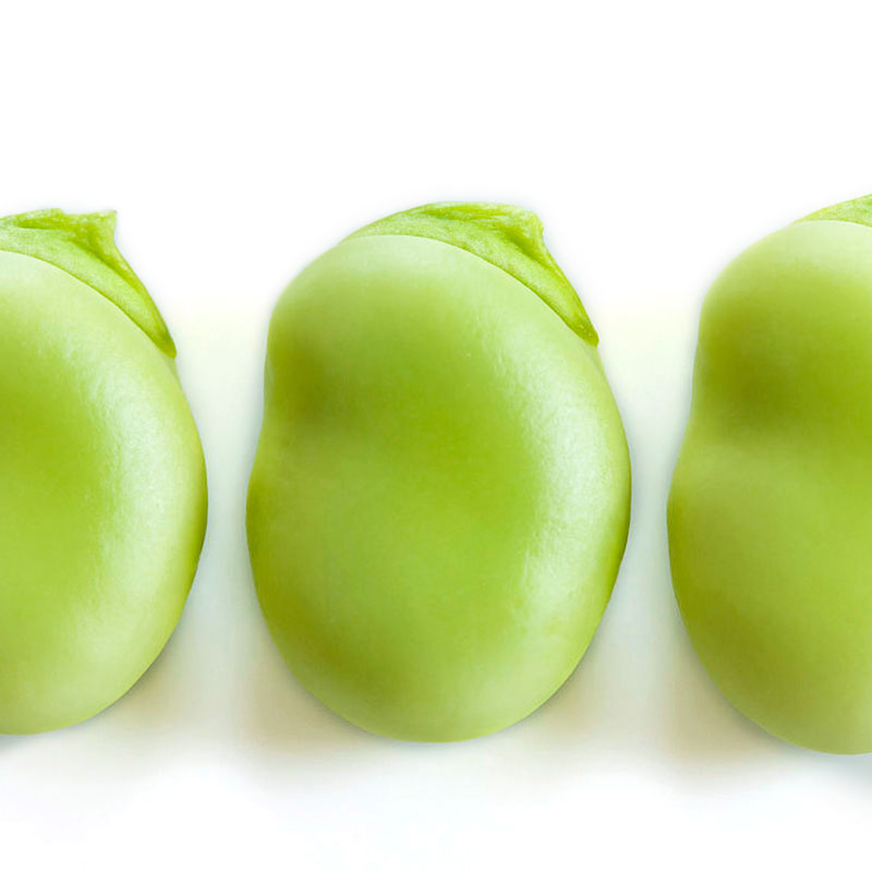 蚕豆种籽大粒型北斗七星种子青皮春季兰花豆大特大蔬菜种子