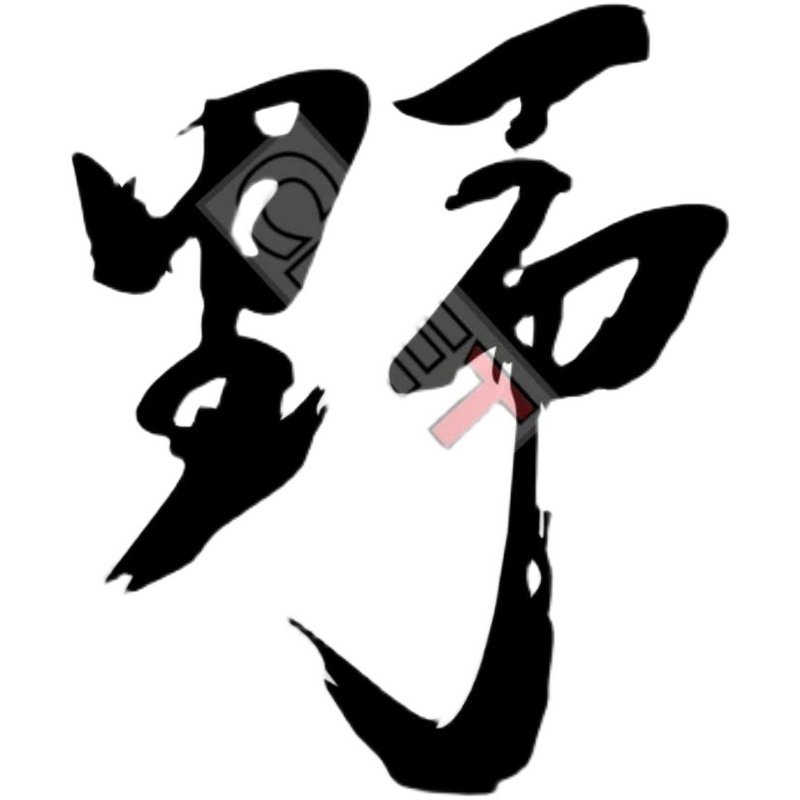 车身创意文字越玩越野贴纸车门贴野字装饰改装个性汽车装饰贴