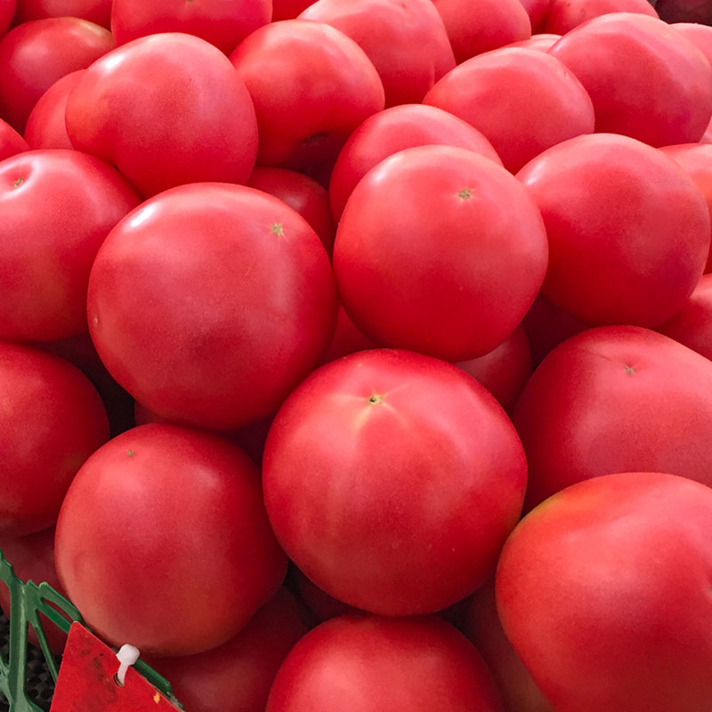 御品一园 普罗旺斯西红柿新鲜蔬菜自然熟当季5斤大番茄水果沙瓤10