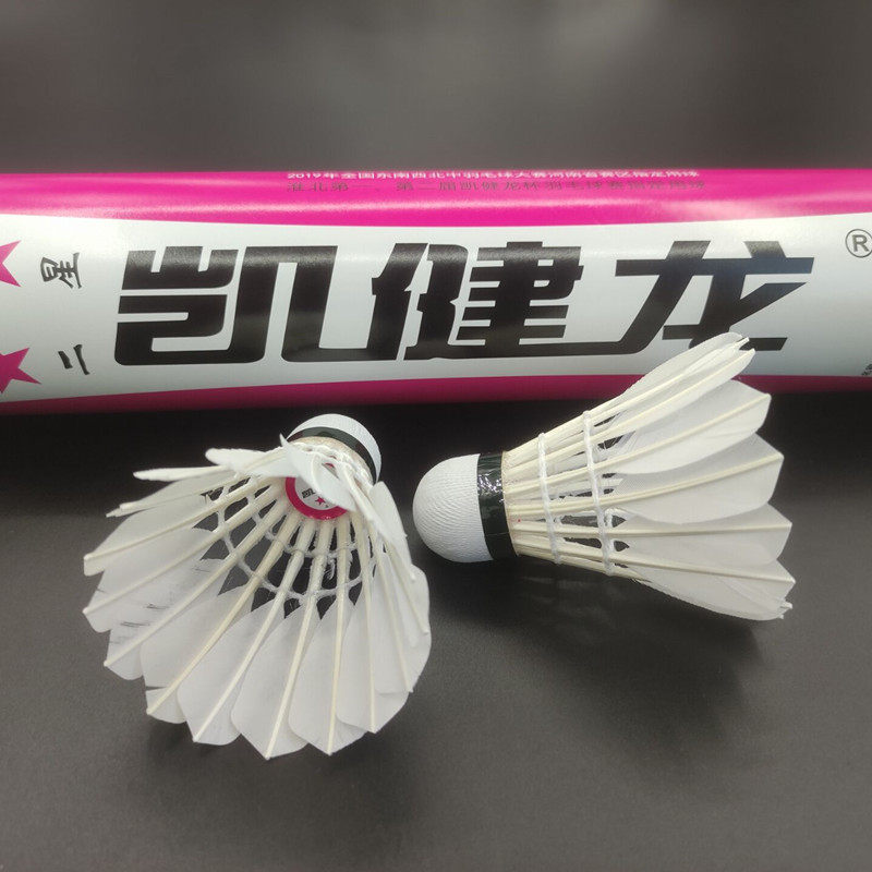 12只凯健龙二星三星k2训练业余比赛羽毛球室外羽毛球