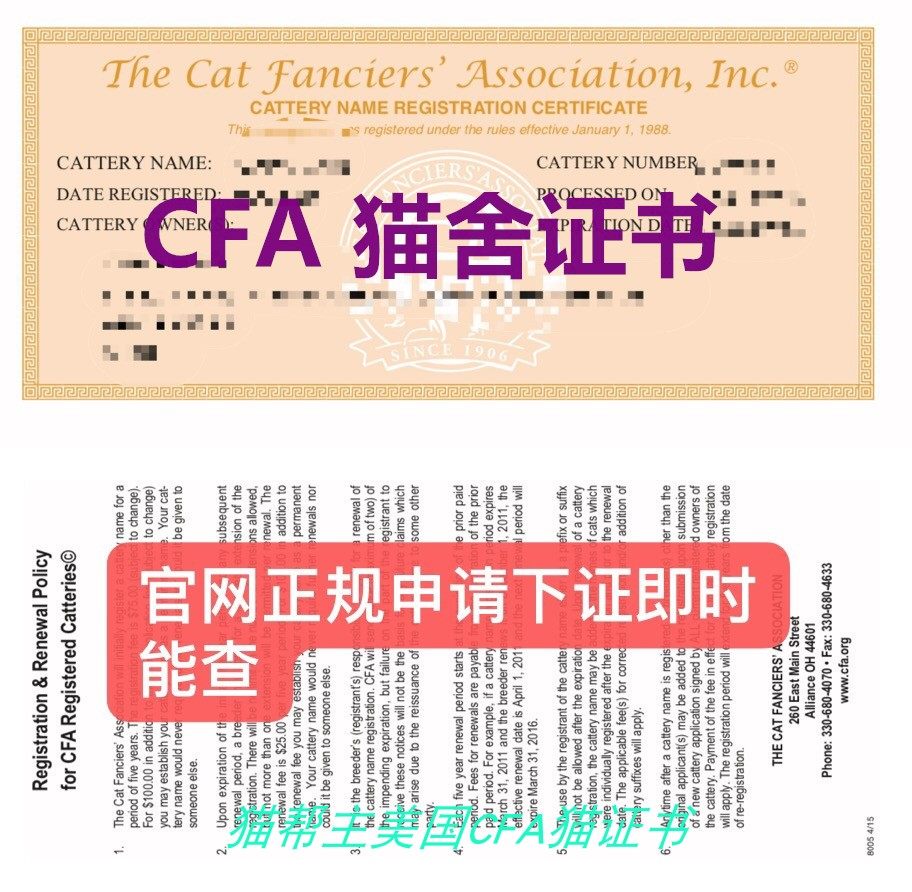 注册cfa猫证书美国cfa猫舍证书注册代办cfa绿纸血统证书 保真注册