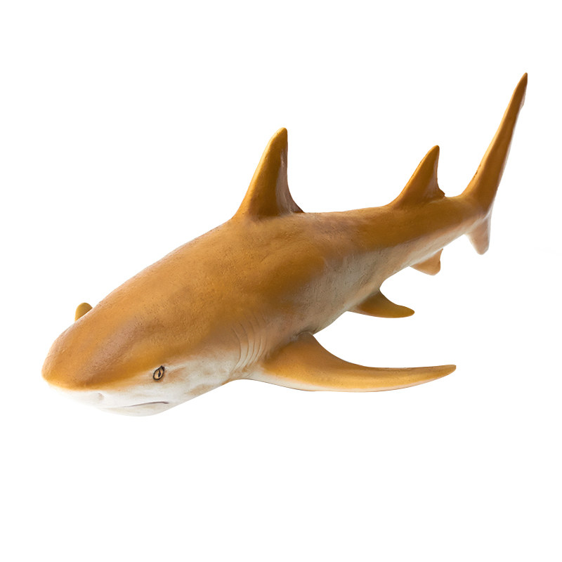 玩具动物重现recur鲨鱼仿真模型塑胶巨齿海洋仿真