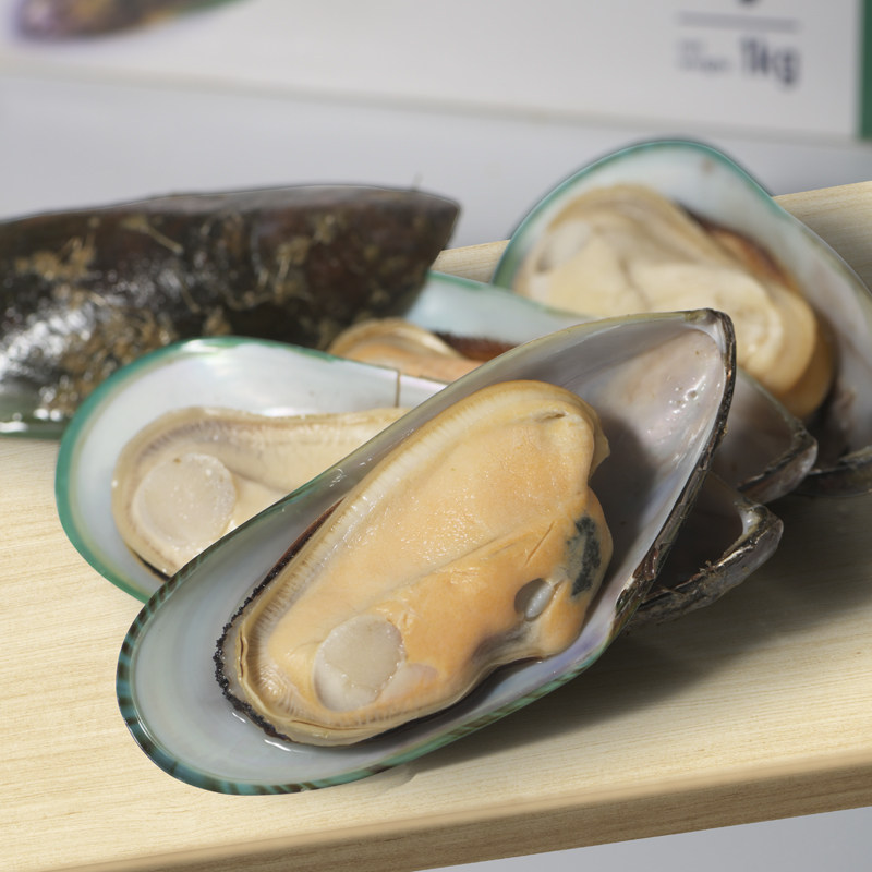 新西兰进口口贝半壳鲜活冷冻西班牙海鲜饭食净重青口贝