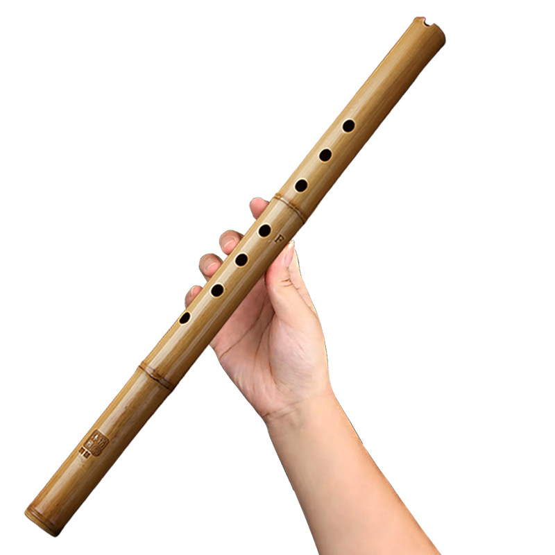 洞箫初学者专业短箫成人古风f高档演奏自学g调八孔紫竹玉萧笛乐器