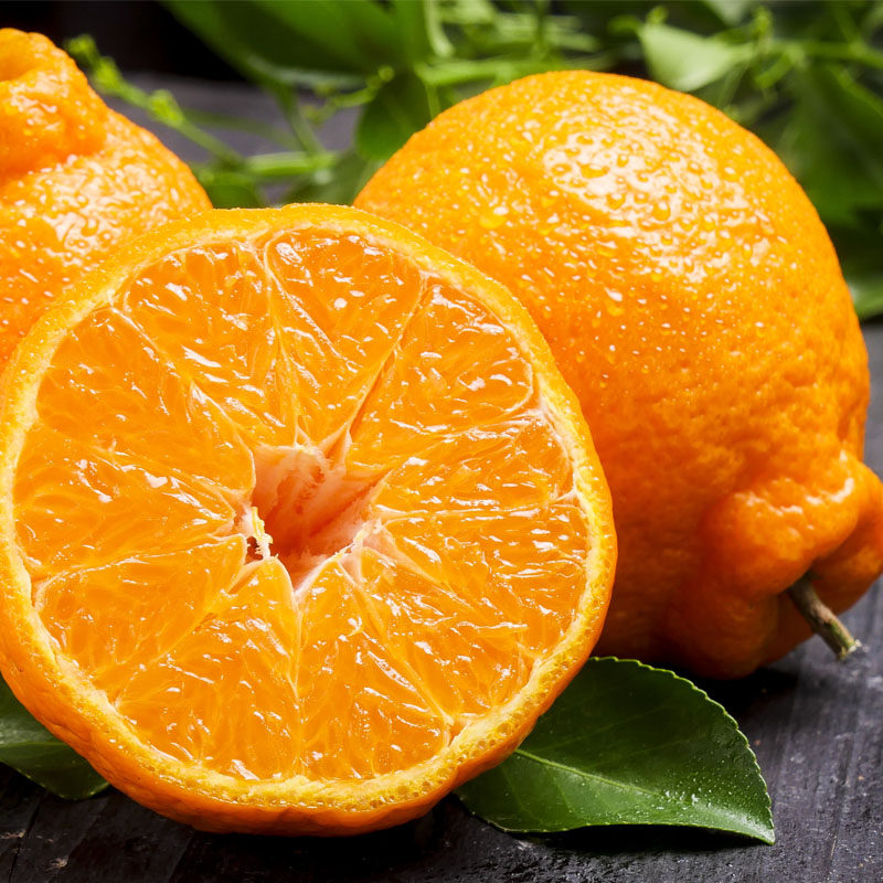 不知火丑橘5斤当季新鲜水果2件净重9斤青丑八怪橘子蜜桔子芦柑橘